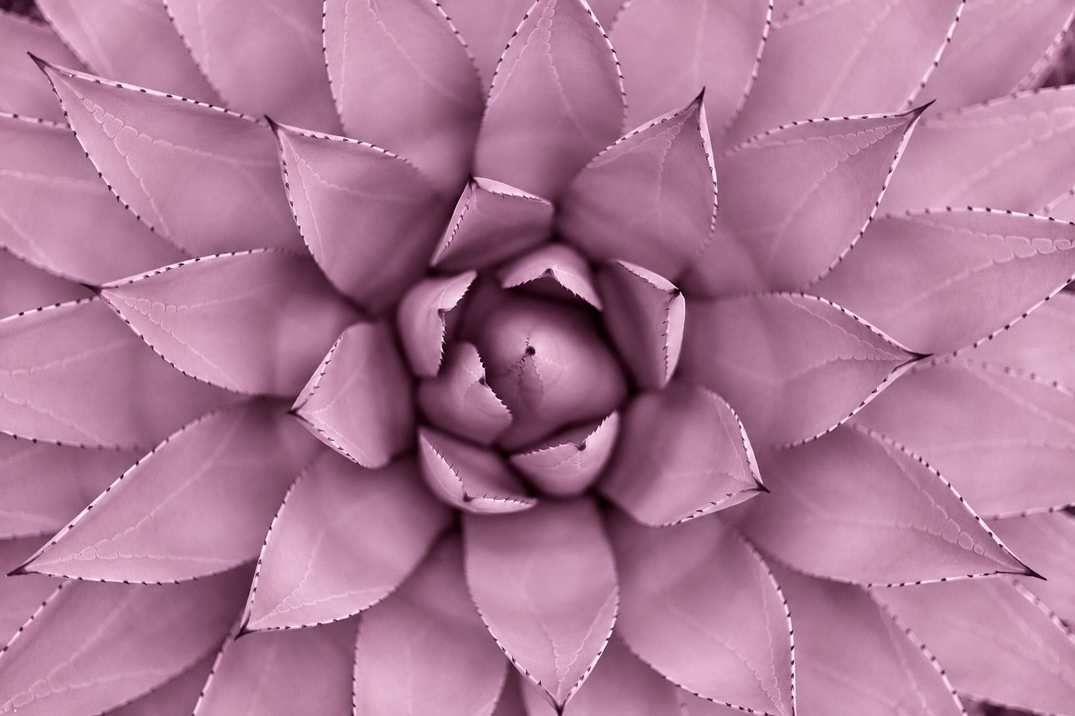 ChatGPT Image Sep 30, 2026, 06_30_59 AM